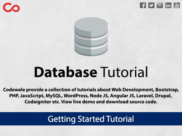 What is Database?