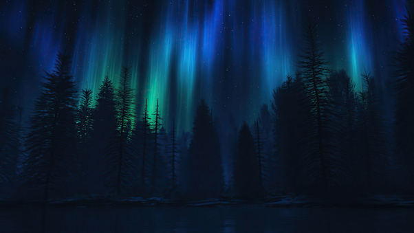 Aurora Fall 4k HD Wallpaper