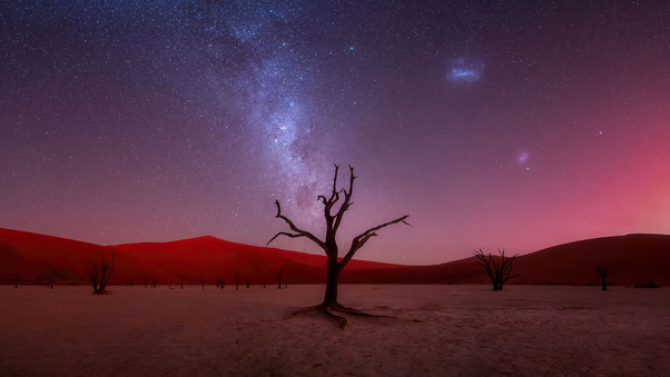 Evening Glory At Deadvlei HD Wallpaper