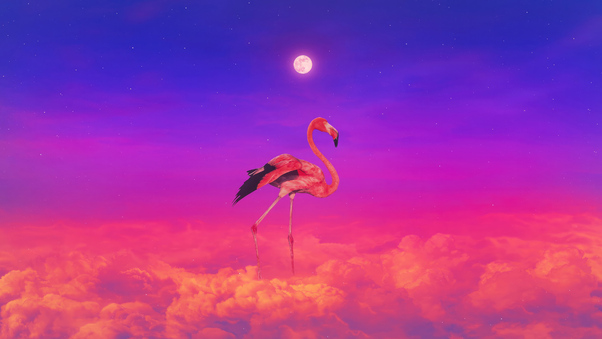 Flamingo Colorful 4k HD Wallpaper